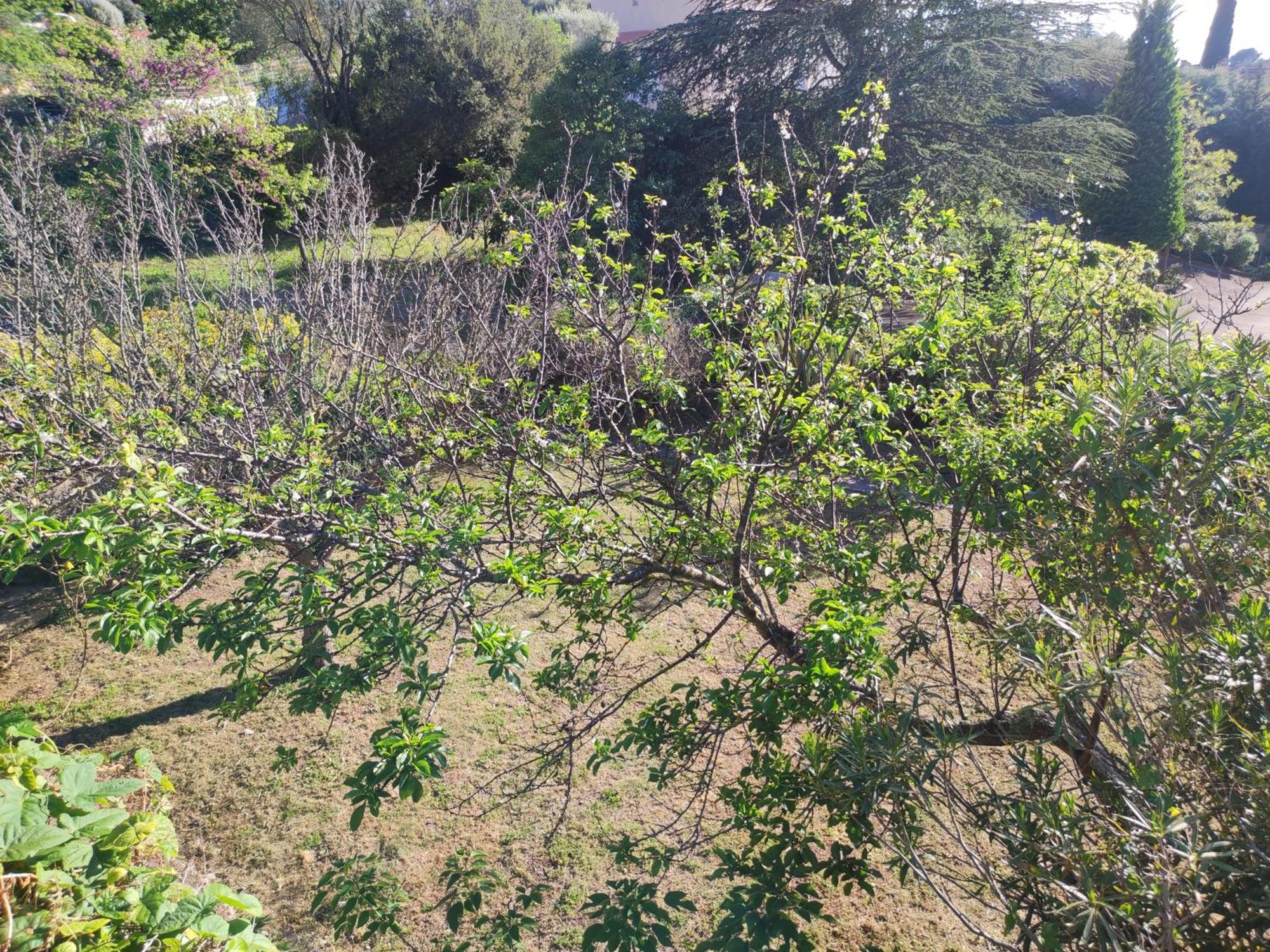 Bastide Provencale Vue Mer A 5 Min De La Plage ซานารี-ซูร์-แมร์ ห้อง รูปภาพ
